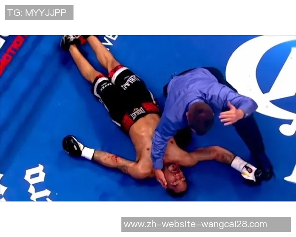 阿瓦雷兹与科克兰德激战在即谁将成为拳坛新王者